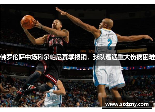 佛罗伦萨中场科尔帕尼赛季报销，球队遭遇重大伤病困难